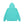 HWC LABEL HOODIE MINT GREEN