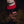 CIGAR SERIF CORDUROY CAP WHITE/RED