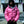 STENCIL LOGO HOODED DOWN JACKET PINK