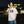 TOKYO BAY AREA TEE NAVY