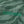 ZEBRA STRIPED SHORTS GREEN